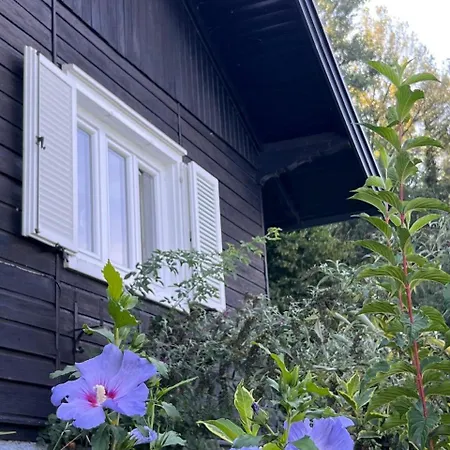 Exklusiver Seetraum Am Attersee Direkt Am *