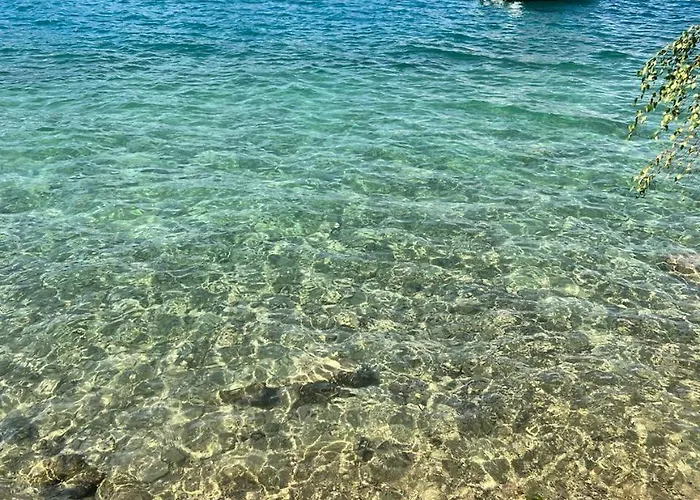 Exklusiver Seetraum Am Attersee Direkt Am Tatil Evi *