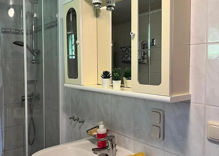 Exklusiver Seetraum Am Attersee Direkt Am Tatil Evi *