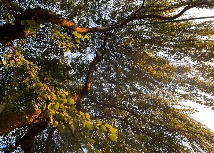 펜션 Exklusiver Seetraum Am Attersee Direkt Am